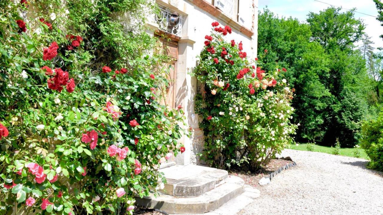 Chateau De Belespy La Bastide-de-Besplas Buitenkant foto
